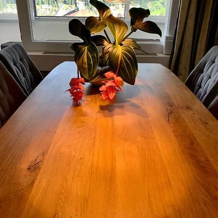 Wef Platz Centre 3,5 With Garage Lejlighed